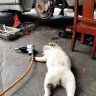 Tìm bạn fwb nhé