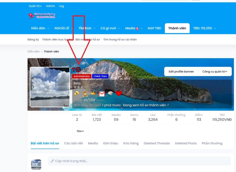 Screenshot 2025-11-05 at 13-11-44 T Diễn đàn Tìm Bạn Tình Tìm bạn đời Online.jpg
