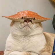Dương Mộc Phong