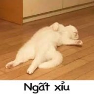 .thien