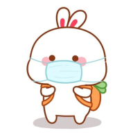 thỏ đây