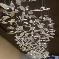 Biết mình đẹp trai
