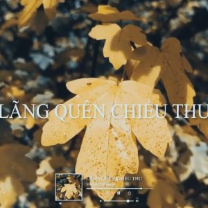 Media '- YouTube' in category 'NHẠC'